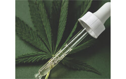 Seventeen per cent of Quebecers use cannabis, with a third citing self-management of health issues, a pattern echoed in the Outaouais where the CISSS observes youth turning to it for anxiety, sleep problems, and pain relief while calling for earlier intervention and better public education. Photo: Courtesy of the National Institute of Public Health of Quebec