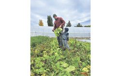 Quebec has proposed new rules to expand agrotourism activities on farms, allowing more visitors and on-site services while maintaining protections for agricultural land. Photo: Courtesy of Agriculture and Agri-Food Canada