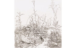 Christiane Roy’s exhibition Nature sous tension (Nature under tension) brings a series of detailed engravings to Aylmer’s Espace Pierre-Debain, where seemingly pristine landscapes reveal subtle signs of human impact and environmental strain. Photo: Courtesy
